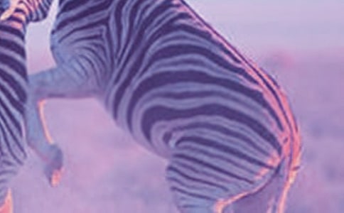 �������ð����߳����飨ͨ��20ƪ��