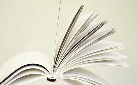 中班活动主题策划方案