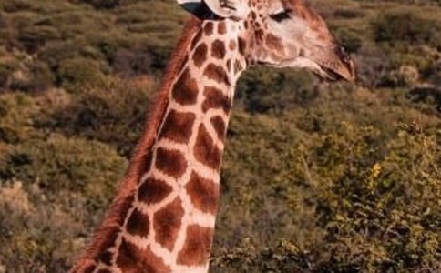 ����¹�ĵ�����ôд