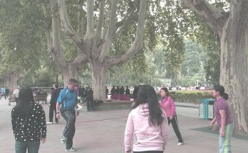 实用的晨练作文300字4篇