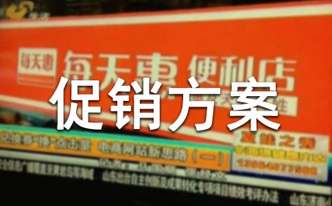 实用的促销方案模板汇编七篇