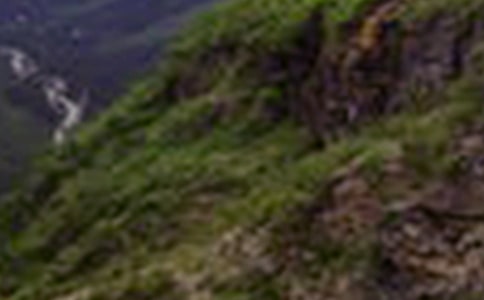 八大山人文言文翻译