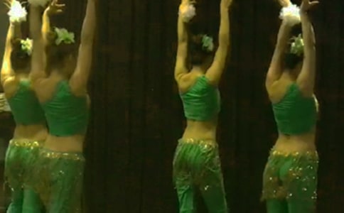 【推荐】傣族作文300字4篇