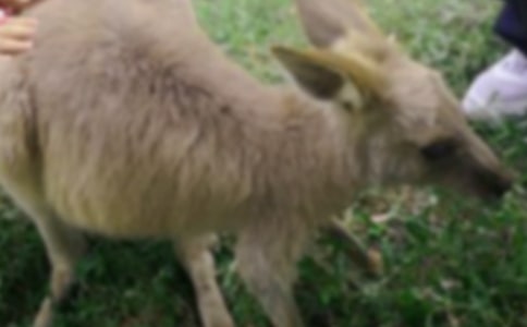 �������ĸ����ҵĹ���