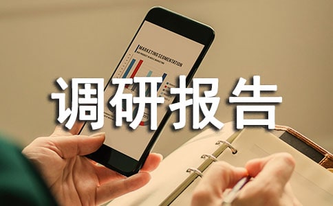 社会实践调研报告范文