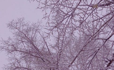 冬日暖阳的心情说说6篇