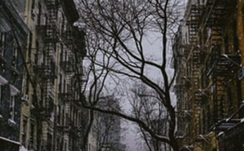 终于有了冬天的感觉的说说