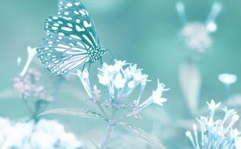 动植物检疫专业排名,2018年动植物检疫专业大学排名全国排名