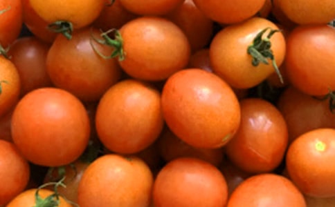 番茄炒蛋作文300字3篇【热门】