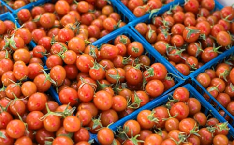 我喜欢吃番茄用英文怎么表达?