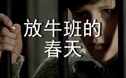 电影《放牛班的春天》观后感15篇