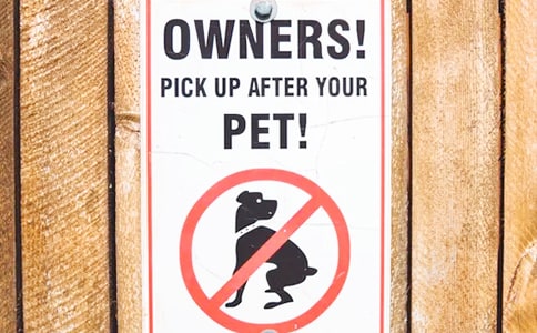 2018年自主招生,华约六校自强计划初审结果公告