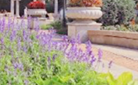 侏罗纪公园的观后感