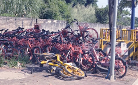 文明使用共享单车倡议书