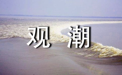 观潮的作文300字