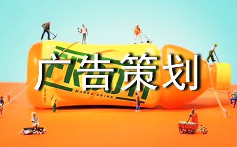 网络广告策划书合集15篇