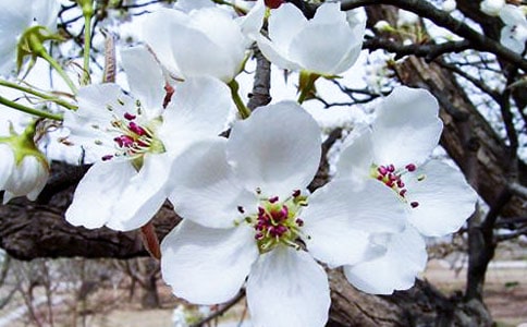 《大鱼海棠》观后感集合15篇