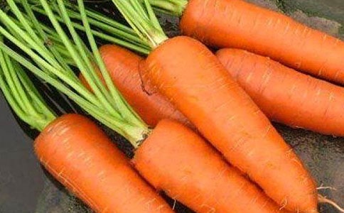 胡萝卜作文300字【必备4篇】