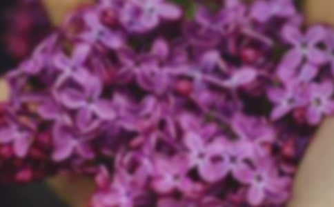 简单的花朵优美句子