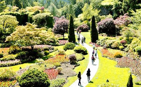 我家的花园作文300字