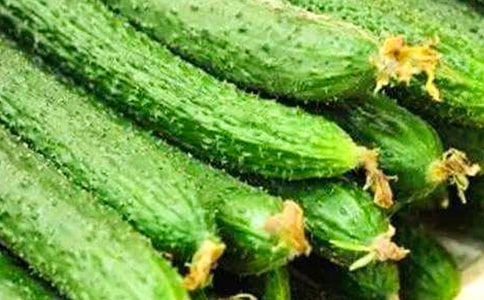 黄瓜作文300字(汇编10篇)