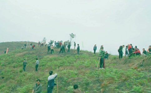 (精品)祭祖作文300字