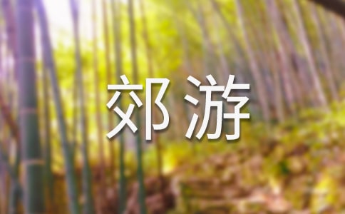 【精华】郊游作文300字3篇
