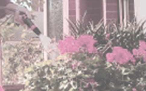 【推荐】浇花作文300字四篇