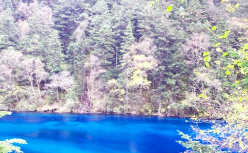 九寨沟心得体会15篇