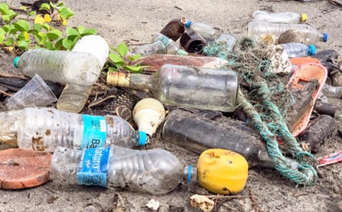 ߽Ĵ,̽Ѱ2018ϣСѧѧ