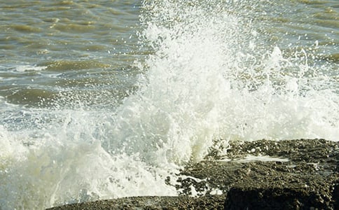 一朵美丽的浪花六年级作文600字