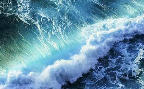 心海里的浪花六年级作文1000字