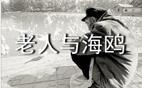 老人与海鸥读后感(通用31篇)