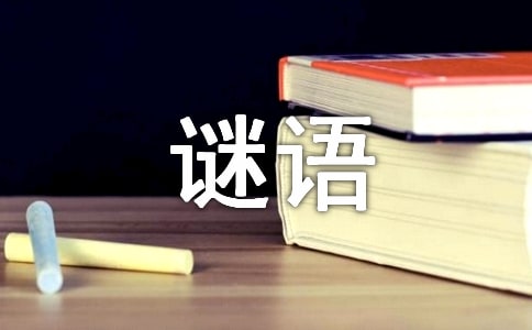 趣味儿童字谜语大全及答案(三篇)