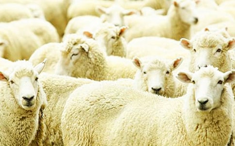 �������С��������