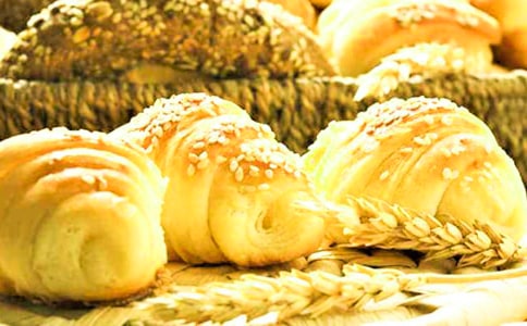 《面包树上的女人》读后感5篇