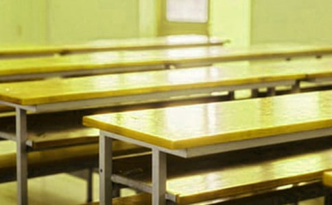 再见了,我的母校小升初作文1000字