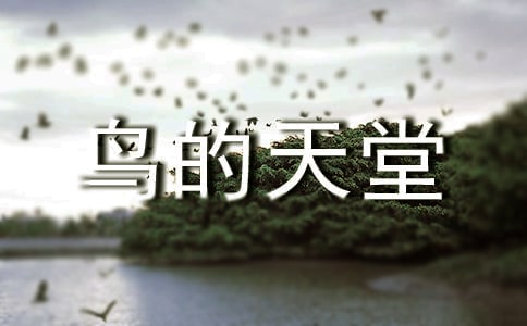 《鸟的天堂》读后感