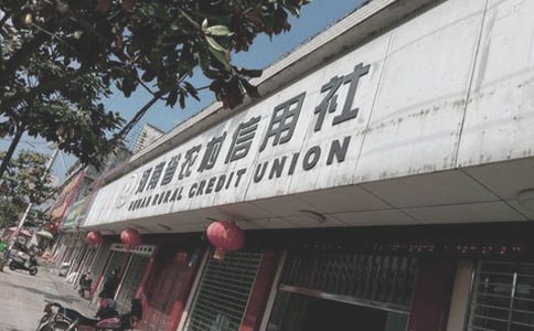 农村信用社一季度支农工作报告