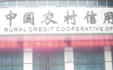 农村信用社工作总结开头结尾模板范文