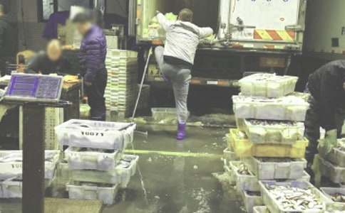 商品批发网站横幅标语