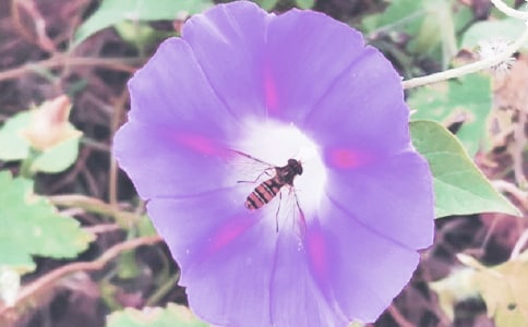 дǣţĴ,дǣţľӴȫ