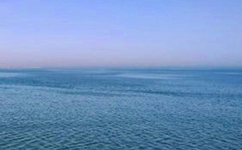 ѧػʵУЩרҵʲôרҵ