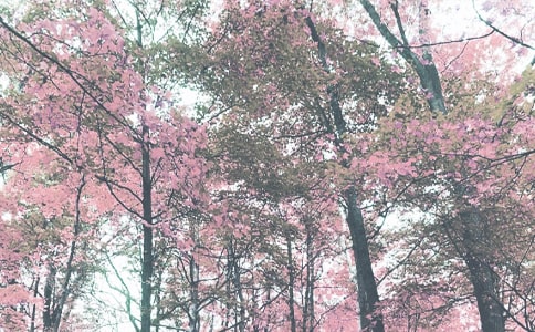 秋季的说说13篇