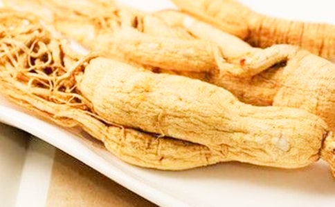 领某人参观的英文短语