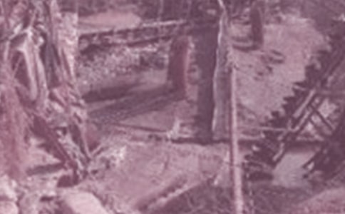 2019ʯʹѧ,ʯʹѧȫ299