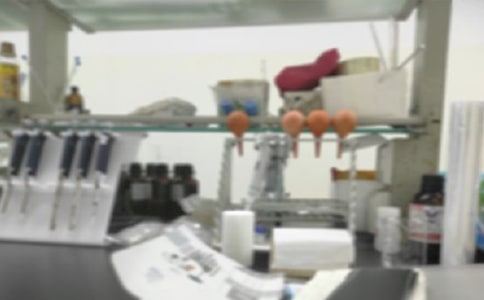 实验室的标语14篇