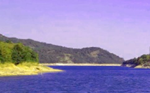 水库党支部公开承诺书