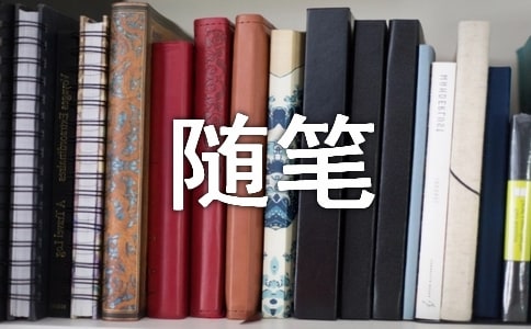 精选随笔作文300字四篇
