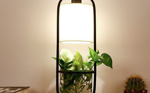 С̨�Ƶ�����300��[ͨ��8ƪ]